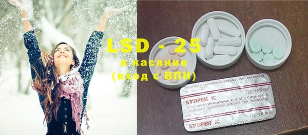 гашик Новозыбков