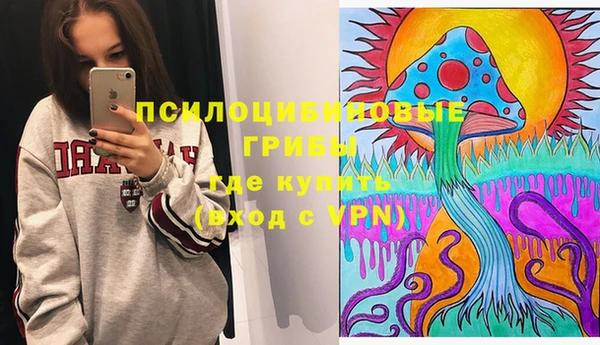 герыч Новодвинск