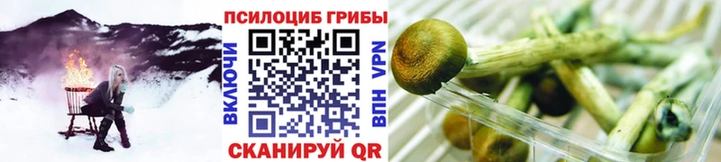Купить закладки  Невинномысск  Галлюциногенные грибы MAGIC MUSHROOMS 